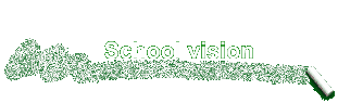 School vision
